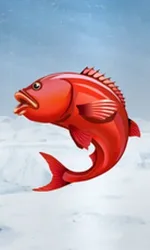 Ice Fishing